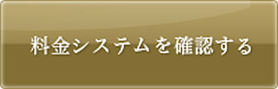 料金システムを確認する